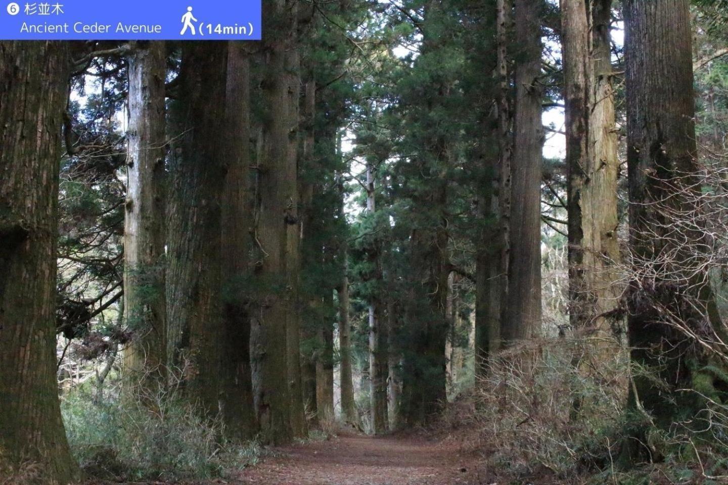Yoichi Inn Hakone Zewnętrze zdjęcie